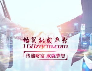 電子商務(wù)技術(shù) 現(xiàn)代商業(yè)的數(shù)字化引擎